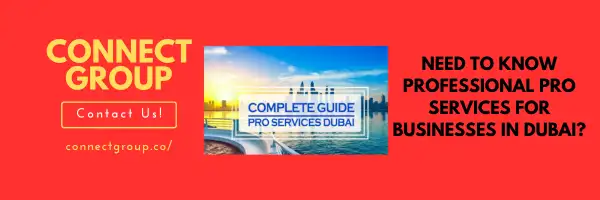 PRO Services for Businesses in Dubai