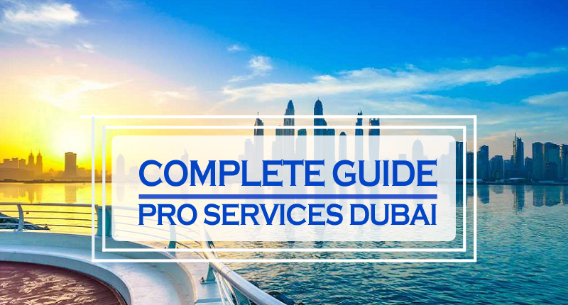 Professional PRO Services for Businesses in Dubai