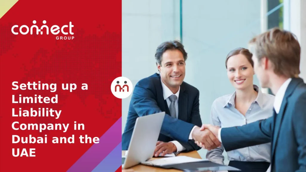 limited liability company