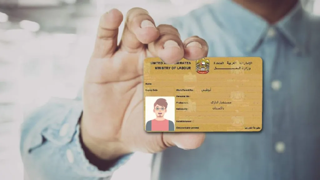 MOHRE labour card